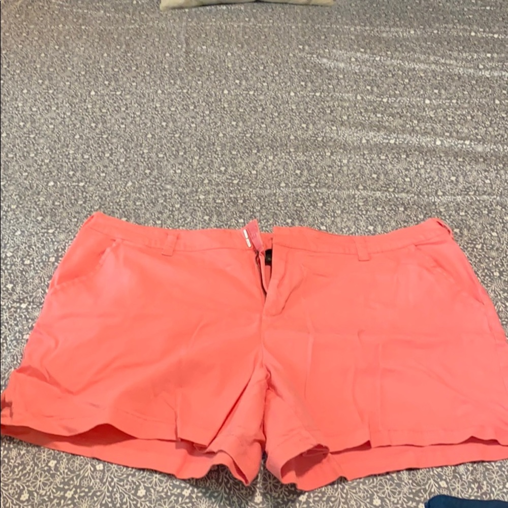 2 pairs of Lane Bryant shorts